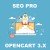 SlaSoft SEO PRO для Opencart 3.x [OCMOD]